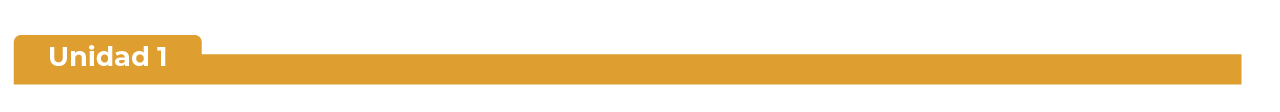 Unidad 1