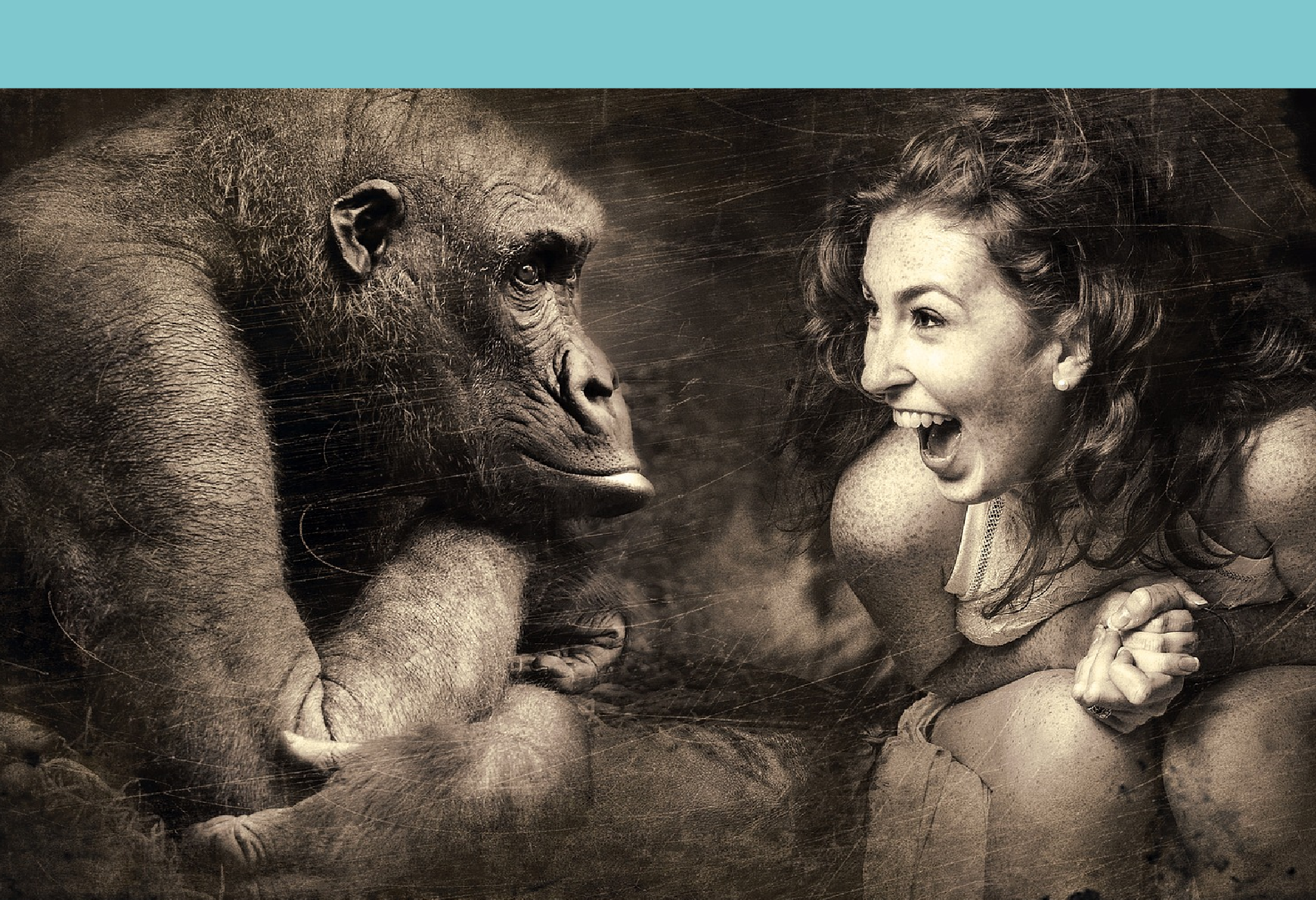 Las emociones a través del arte