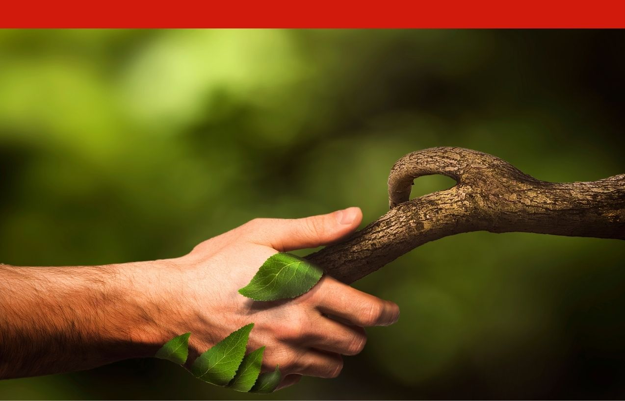 Naturaleza y desarrollo sustentable