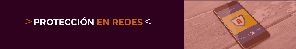PROTECCIÓN EN REDES