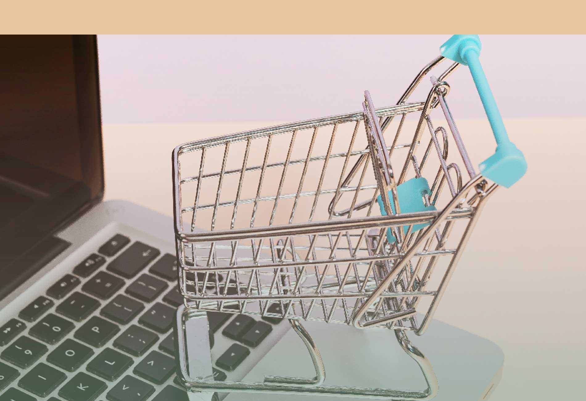 E-shopping sin riesgos