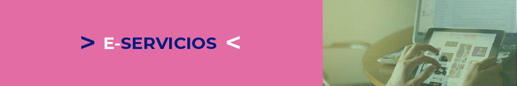 E-SERVICIOS