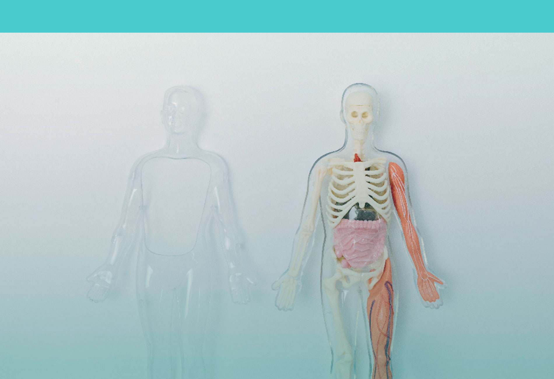 Aprendiendo sobre mi cuerpo